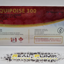 Equipoise (Canada)