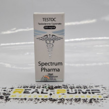 Testo C (Spectrum)