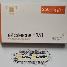 Testosterone E250 (Olymp)