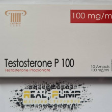 Testosterone P100 (Olymp)