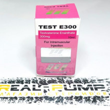 Test E300 (Norman)