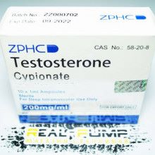 Testosterone C (ZPHC) реплика