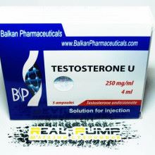 Testosterone U (Balkan)